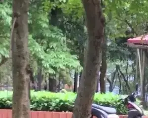 Cặp đôi chơi nhau ở hồ Linh Đàm – Viet69